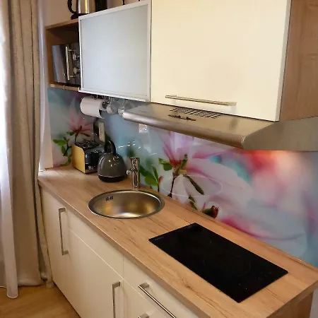 Apartament Chalet Bad Toelz